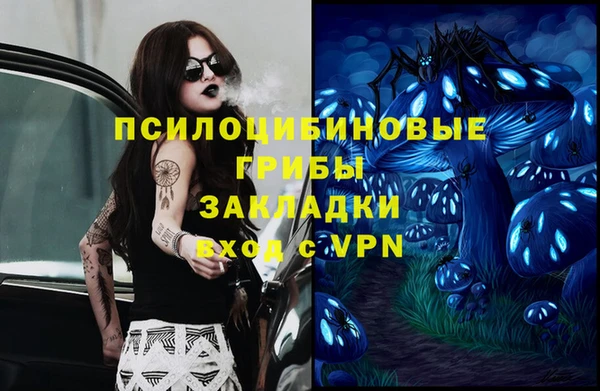 стафф Саяногорск