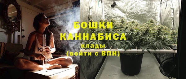 ГАЛЛЮЦИНОГЕННЫЕ ГРИБЫ Михайловка