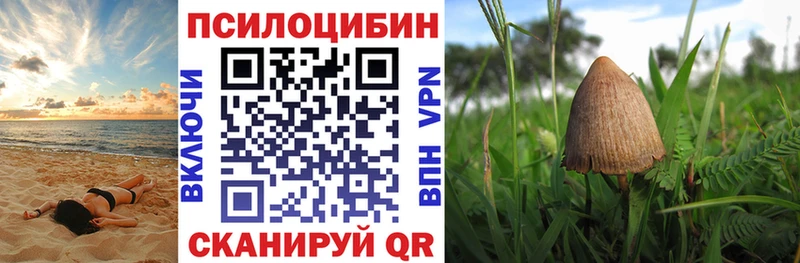 Псилоцибиновые грибы Psilocybine cubensis  дарк нет состав  Черепаново 